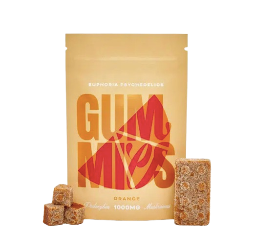 Screen Shot 2024 12 27 at 1.57.11 AM removebg preview 1