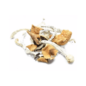 B Magic Mushrooms