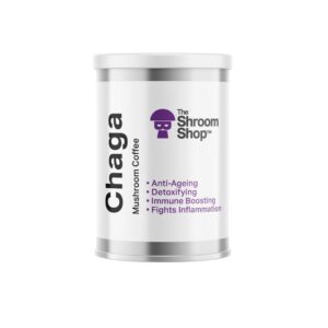 Chaga Mushroom