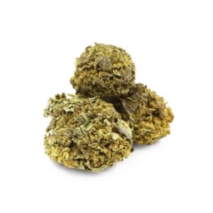 Blueberry Haze Cannabis