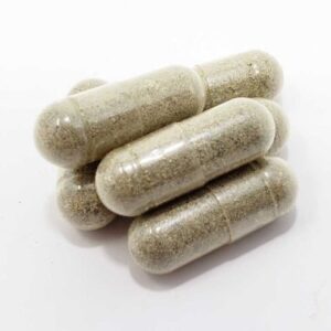 Magic Mushroom Microdose Capsules