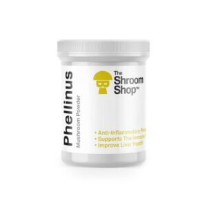 Phellinus Mushroom