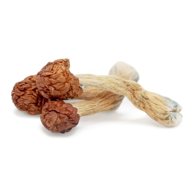 Melmac Penis